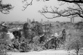 neige
